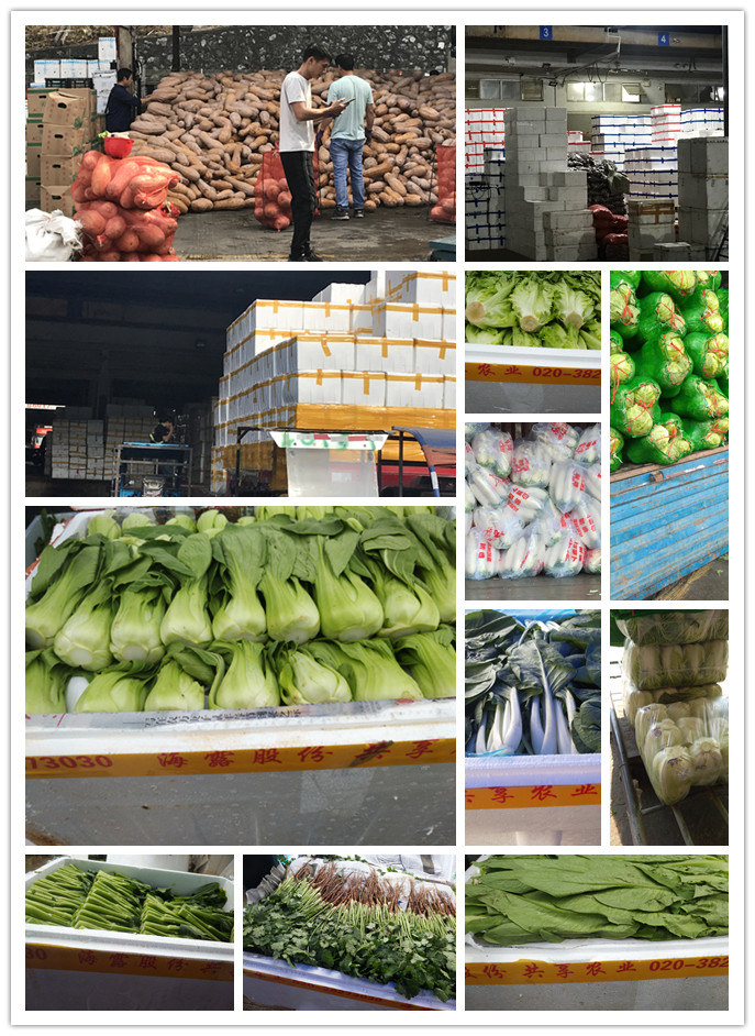 ��ҳ- �ڲ���������Ϊ��,רҵ����!