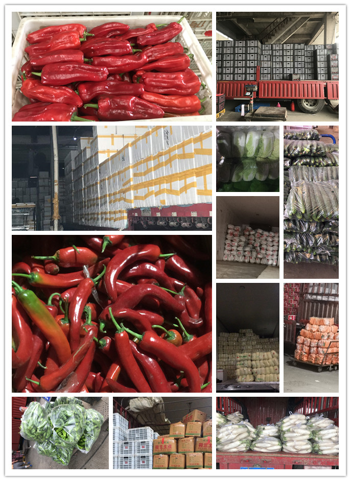 ��ҳ- �ڲ���������Ϊ��,רҵ����!