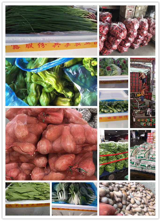 ��ҳ- �ڲ���������Ϊ��,רҵ����!