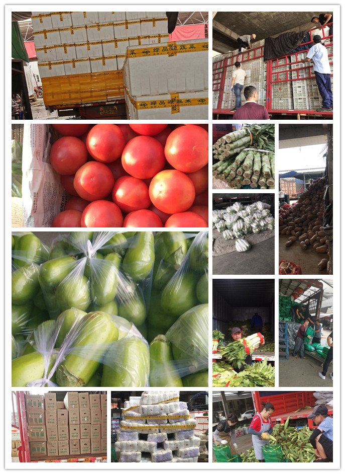 ��ҳ- �ڲ���������Ϊ��,רҵ����!