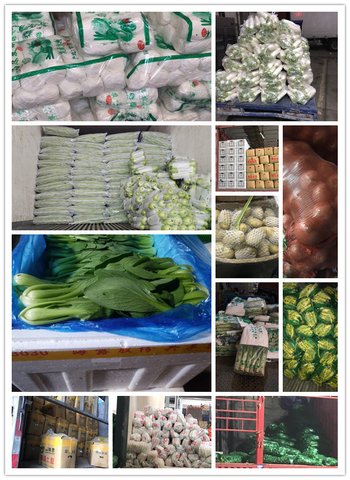 ��ҳ- �ڲ���������Ϊ��,רҵ����!