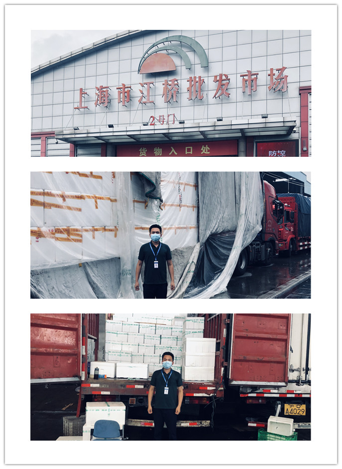 ��ҳ- �ڲ���������Ϊ��,רҵ����!