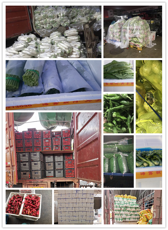 ��ҳ- �ڲ���������Ϊ��,רҵ����!