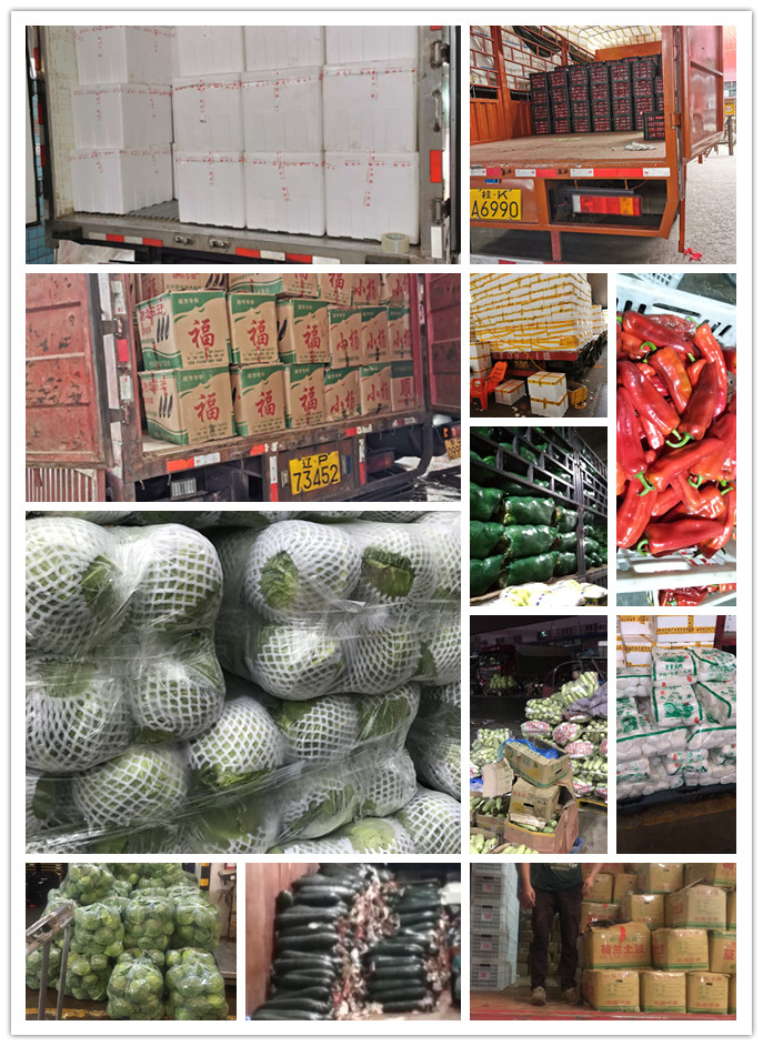 ��ҳ- �ڲ���������Ϊ��,רҵ����!