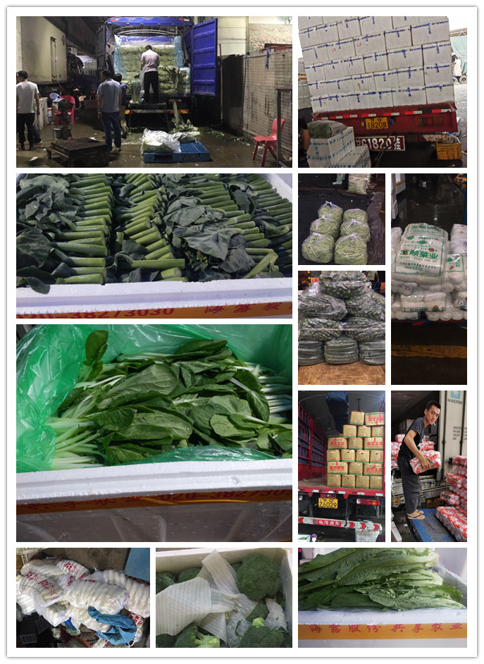 ��ҳ- �ڲ���������Ϊ��,רҵ����!