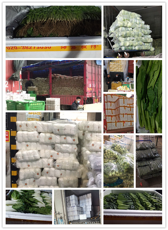 ��ҳ- �ڲ���������Ϊ��,רҵ����!