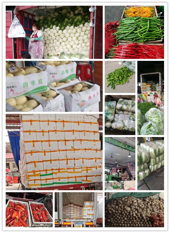 ��ҳ- �ڲ���������Ϊ��,רҵ����!