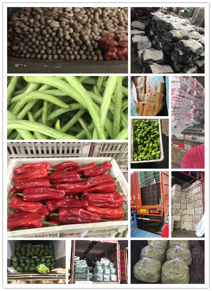 ��ҳ- �ڲ���������Ϊ��,רҵ����!