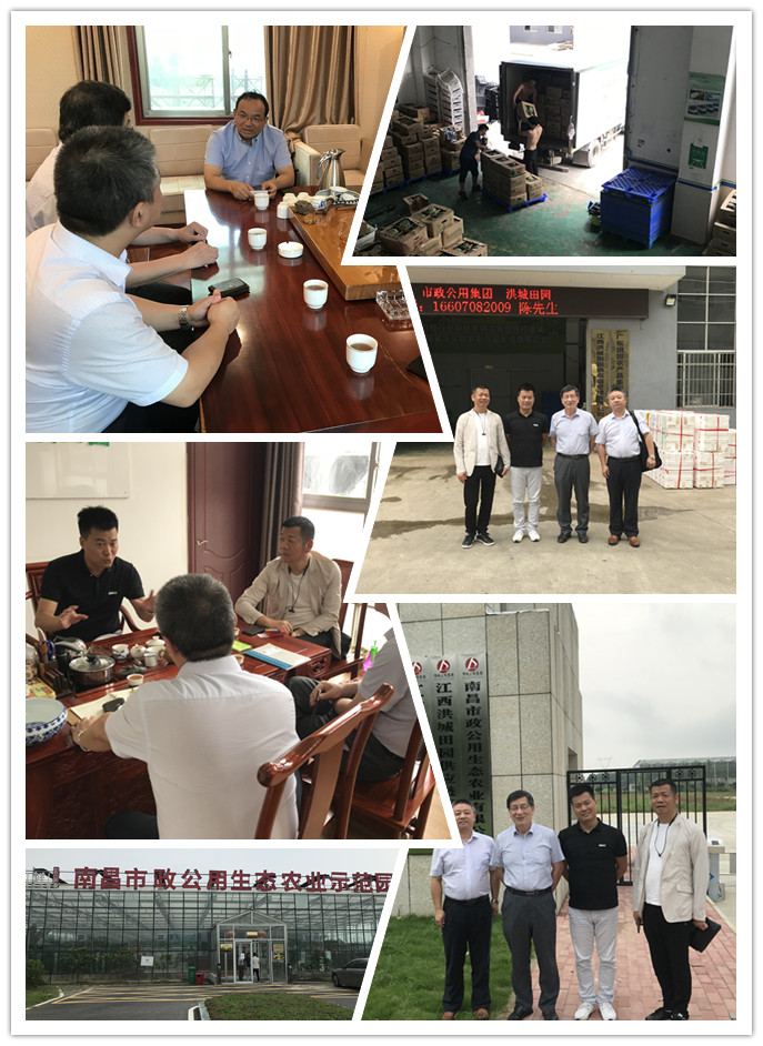 ��ҳ- �ڲ���������Ϊ��,רҵ����!