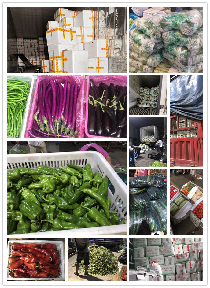 ��ҳ- �ڲ���������Ϊ��,רҵ����!