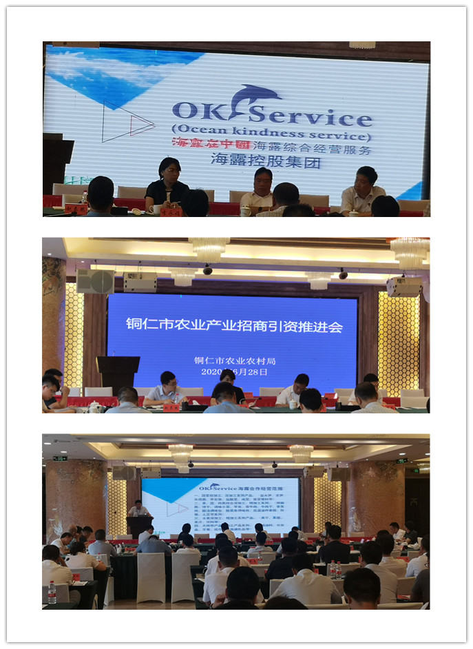 ��ҳ- �ڲ���������Ϊ��,רҵ����!