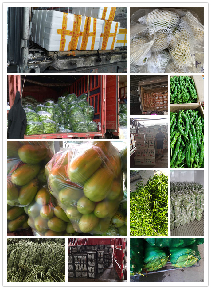 ��ҳ- �ڲ���������Ϊ��,רҵ����!