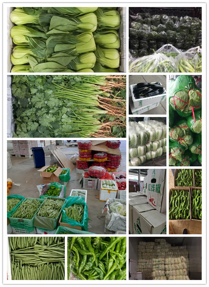 ��ҳ- �ڲ���������Ϊ��,רҵ����!