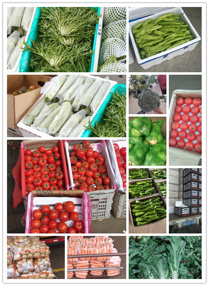 ��ҳ- �ڲ���������Ϊ��,רҵ����!