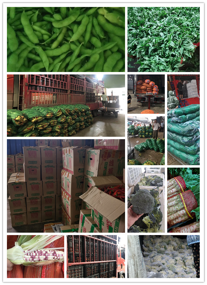 ��ҳ- �ڲ���������Ϊ��,רҵ����!