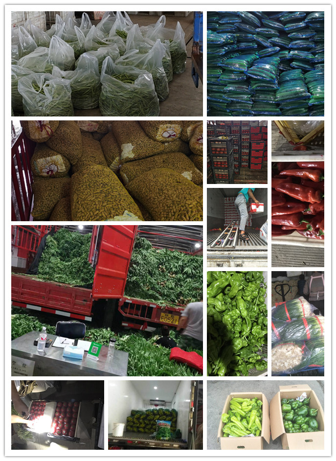 ��ҳ- �ڲ���������Ϊ��,רҵ����!