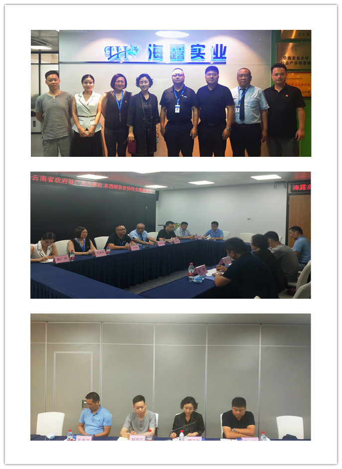 ��ҳ- �ڲ���������Ϊ��,רҵ����!