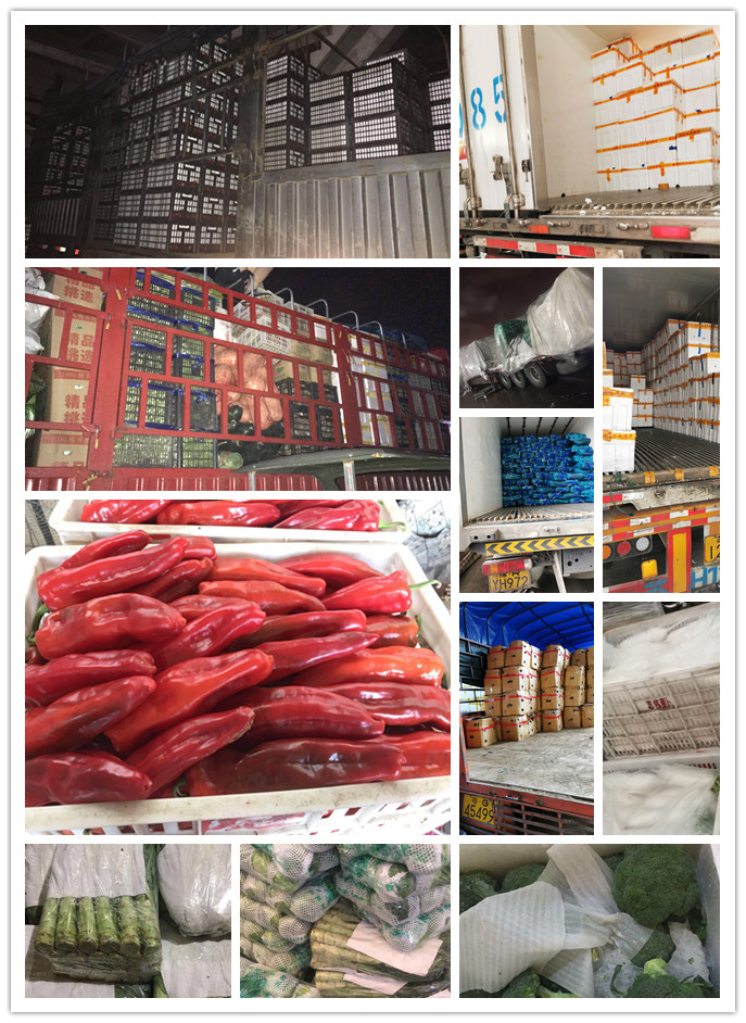 ��ҳ- �ڲ���������Ϊ��,רҵ����!