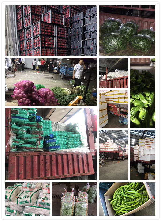 ��ҳ- �ڲ���������Ϊ��,רҵ����!