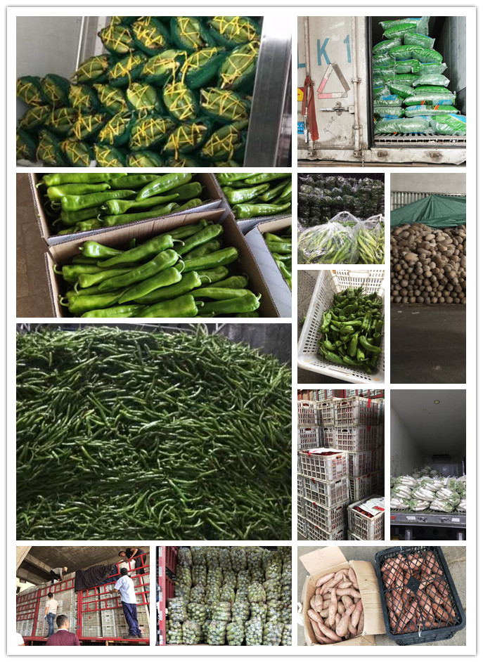 ��ҳ- �ڲ���������Ϊ��,רҵ����!