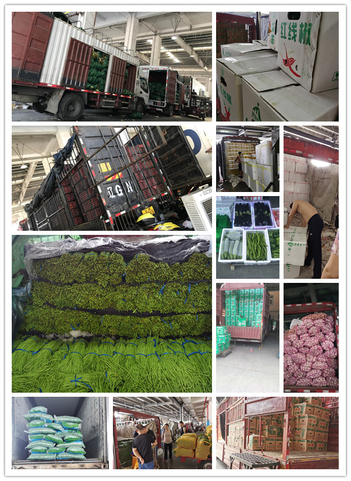 ��ҳ- �ڲ���������Ϊ��,רҵ����!