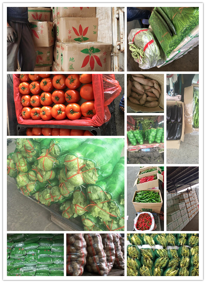 ��ҳ- �ڲ���������Ϊ��,רҵ����!