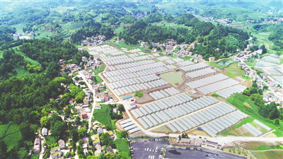 ��ҳ- �ڲ���������Ϊ��,רҵ����!