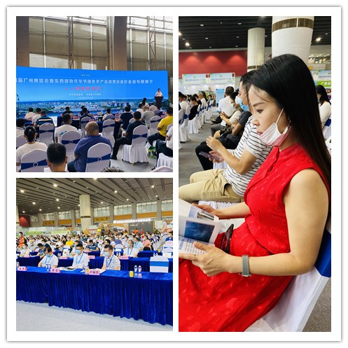 ��ҳ- �ڲ���������Ϊ��,רҵ����!