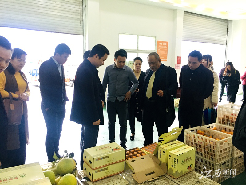 ��ҳ- �ڲ���������Ϊ��,רҵ����!