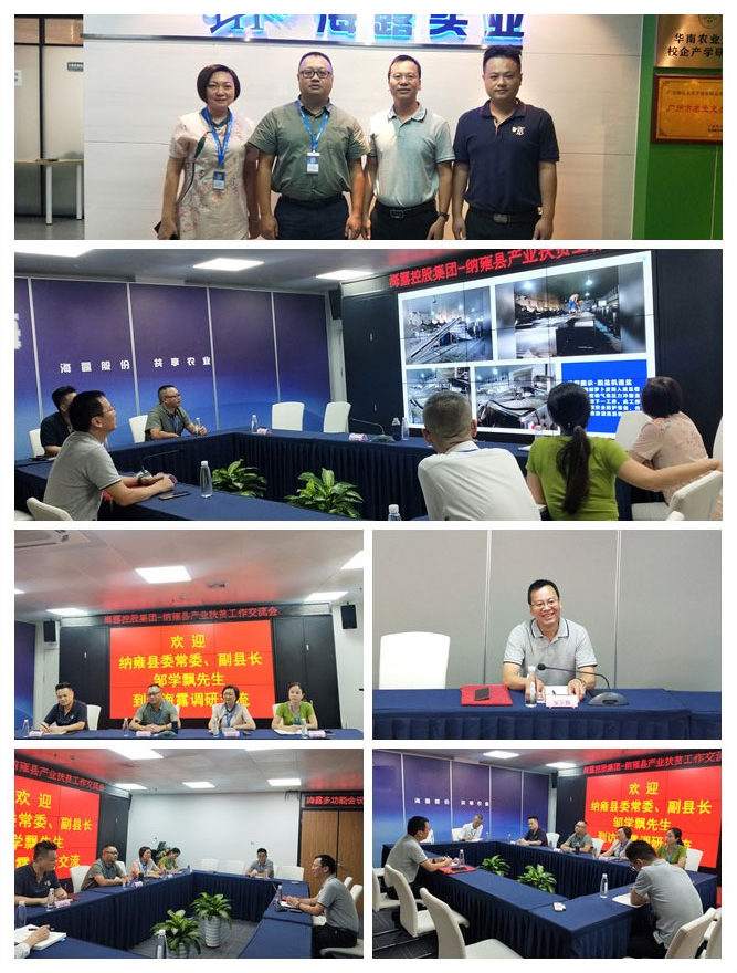 ��ҳ- �ڲ���������Ϊ��,רҵ����!