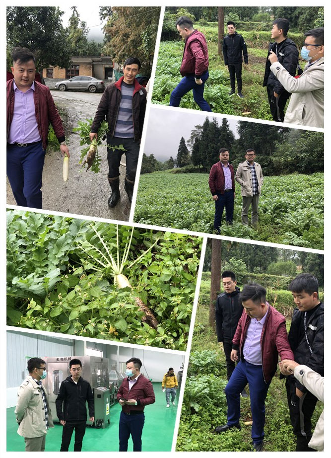 ��ҳ- �ڲ���������Ϊ��,רҵ����!