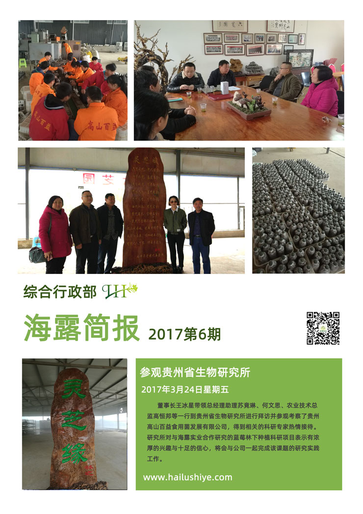 ��ҳ- �ڲ���������Ϊ��,רҵ����!