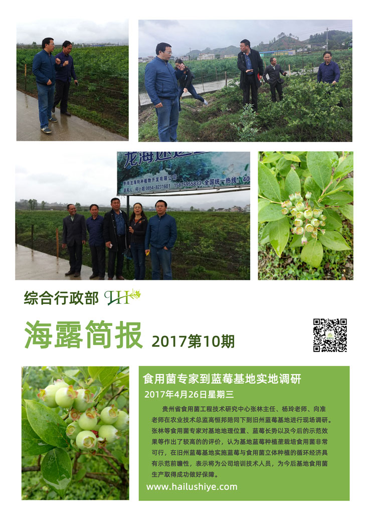 ��ҳ- �ڲ���������Ϊ��,רҵ����!