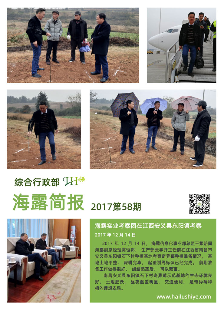 ��ҳ- �ڲ���������Ϊ��,רҵ����!