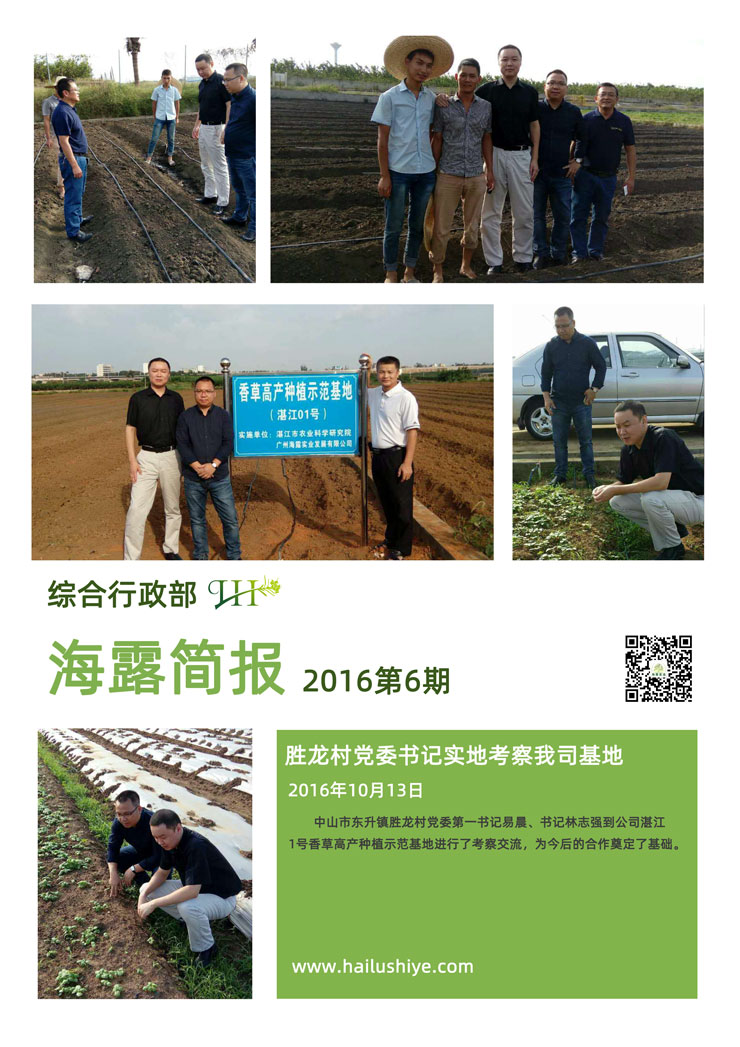 ��ҳ- �ڲ���������Ϊ��,רҵ����!