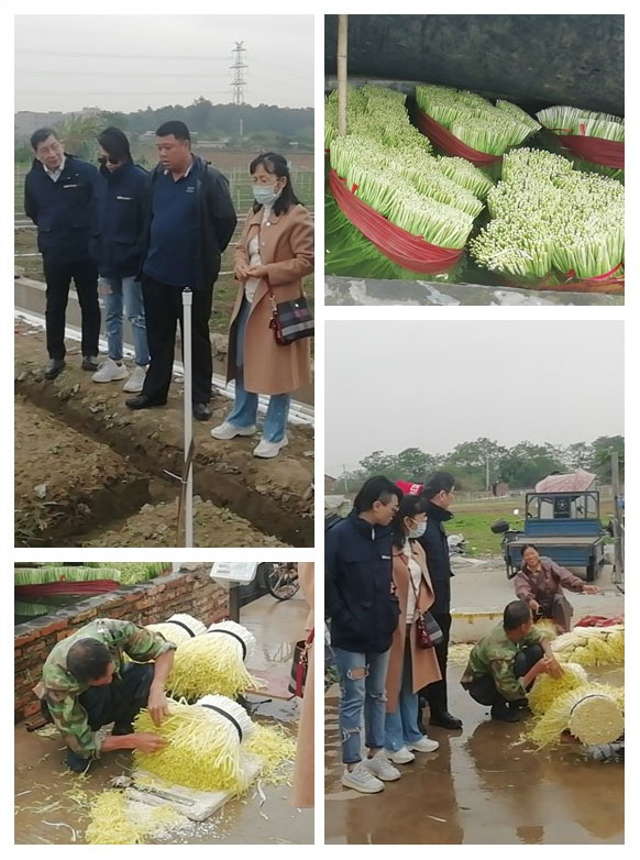 ��ҳ- �ڲ���������Ϊ��,רҵ����!