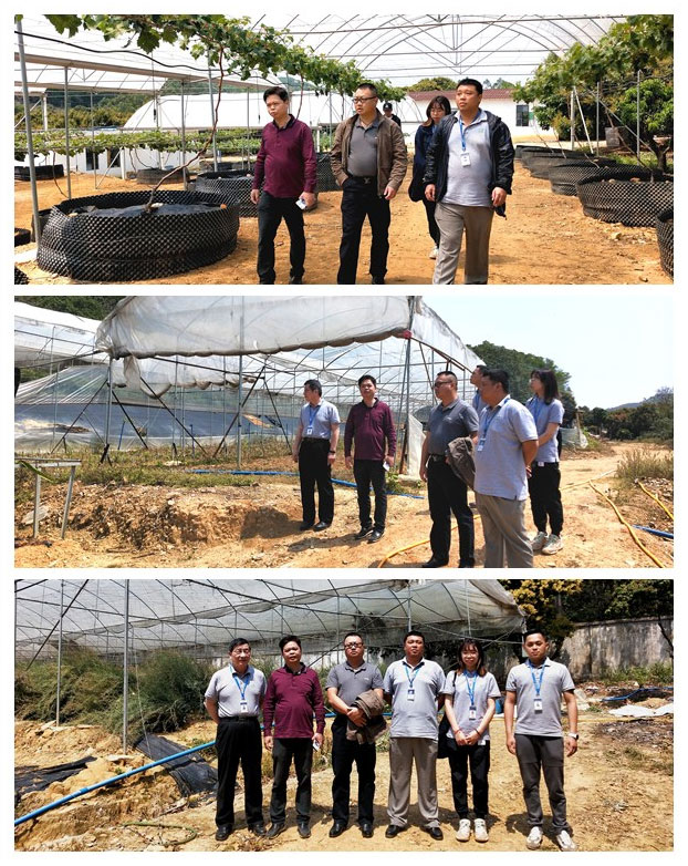 ��ҳ- �ڲ���������Ϊ��,רҵ����!