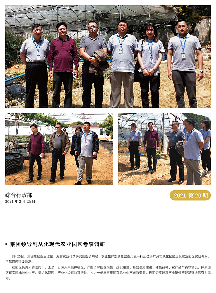 ��ҳ- �ڲ���������Ϊ��,רҵ����!