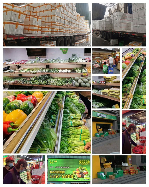 ��ҳ- �ڲ���������Ϊ��,רҵ����!