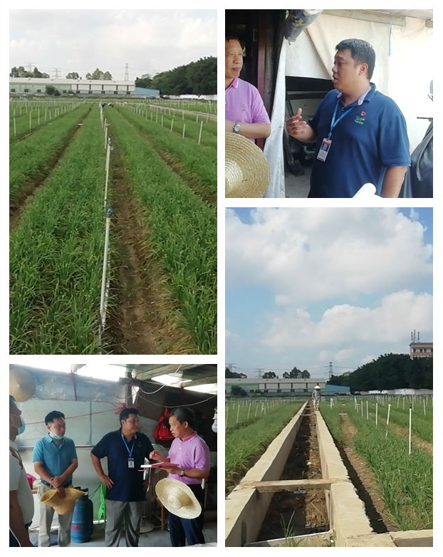 ��ҳ- �ڲ���������Ϊ��,רҵ����!