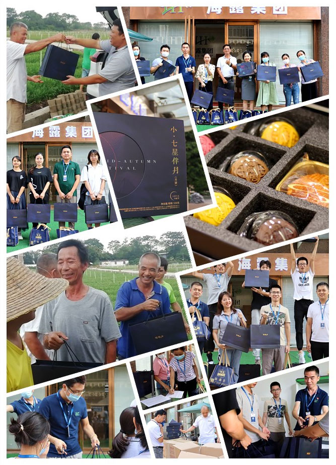 ��ҳ- �ڲ���������Ϊ��,רҵ����!