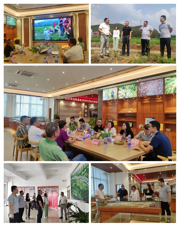 ��ҳ- �ڲ���������Ϊ��,רҵ����!