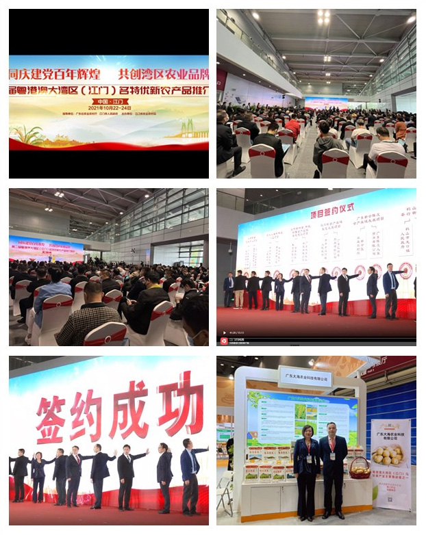 ��ҳ- �ڲ���������Ϊ��,רҵ����!