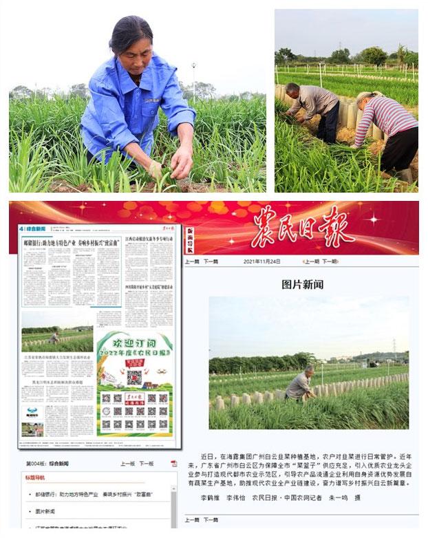 ��ҳ- �ڲ���������Ϊ��,רҵ����!