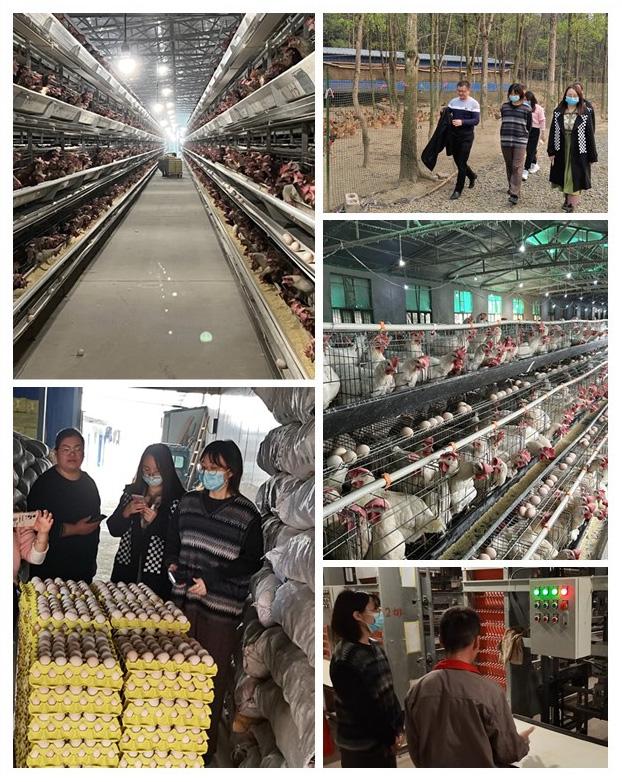 ��ҳ- �ڲ���������Ϊ��,רҵ����!