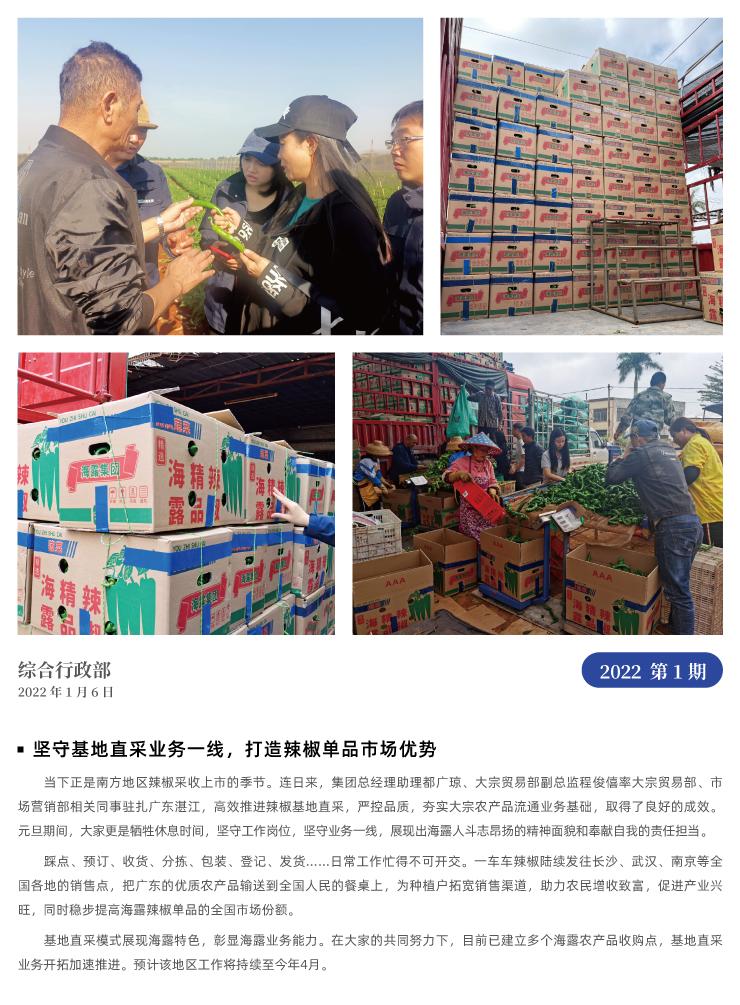 ��ҳ- �ڲ���������Ϊ��,רҵ����!