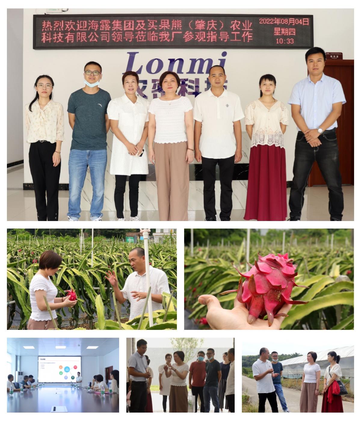 ��ҳ- �ڲ���������Ϊ��,רҵ����!