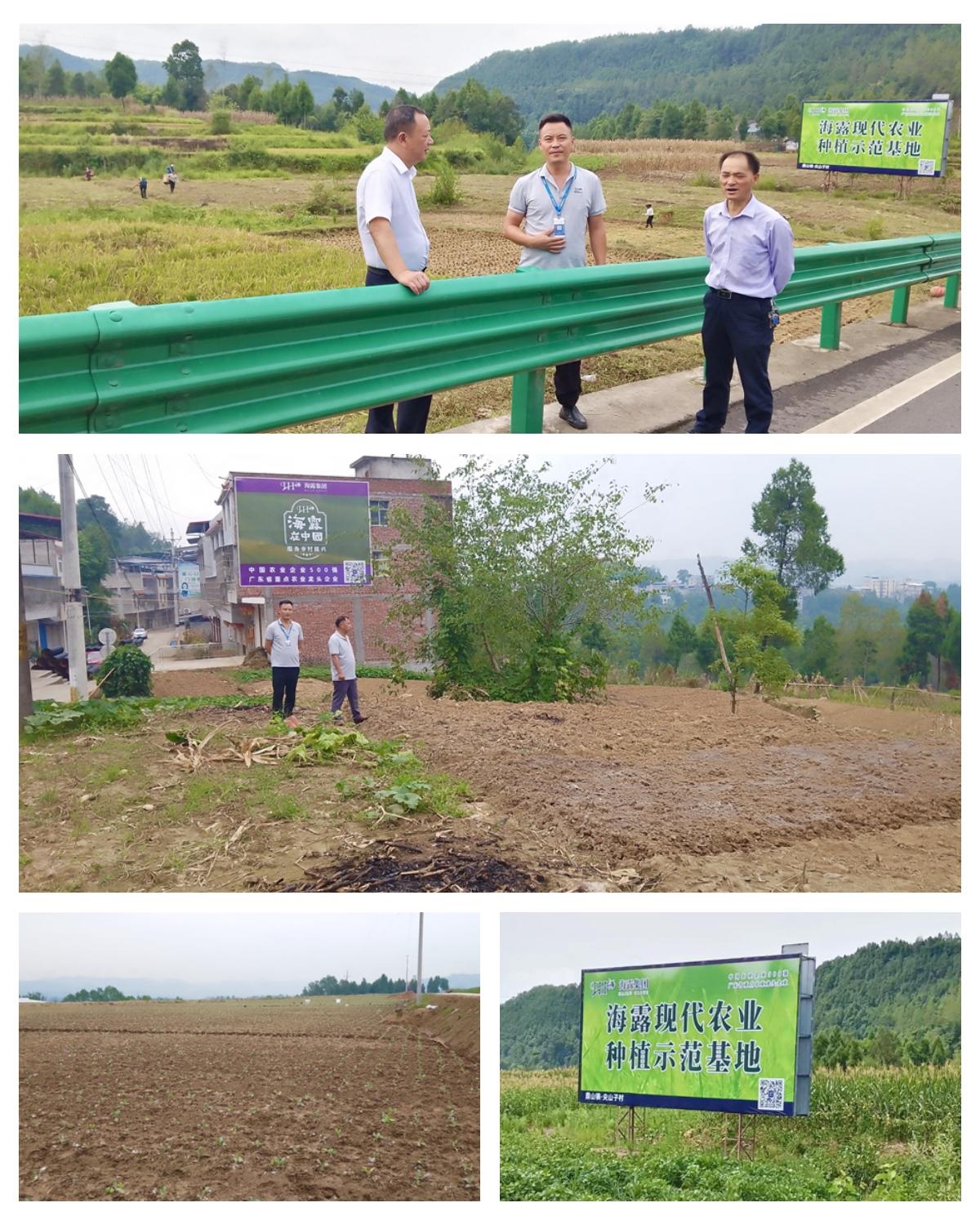 1-2209211HA3413 Ê×Ò³- ÌÚ²©¹ÙÍø³ÏÐÅΪ±¾,רҵ·þÎñ!