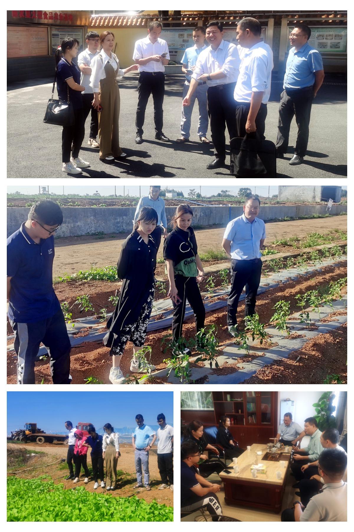 ��ҳ- �ڲ���������Ϊ��,רҵ����!