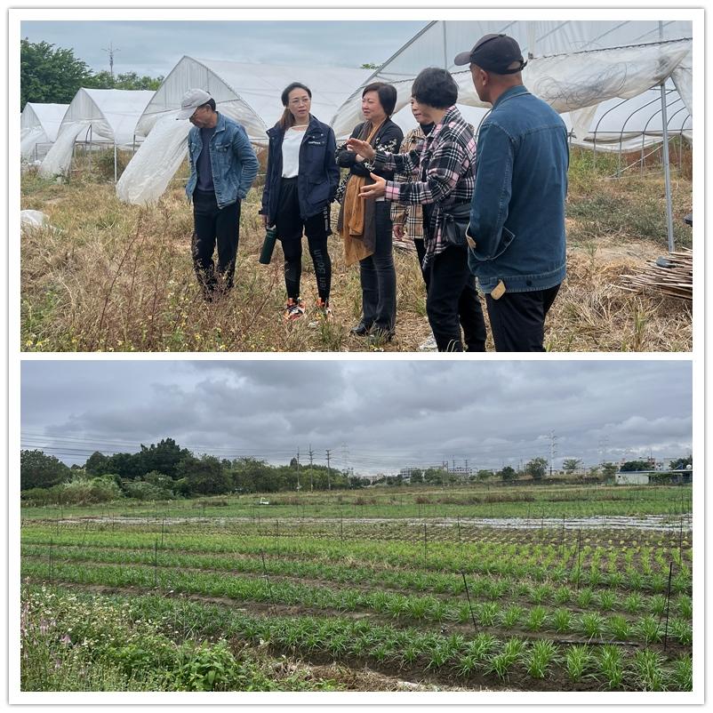 ��ҳ- �ڲ���������Ϊ��,רҵ����!